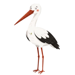 Bocianki